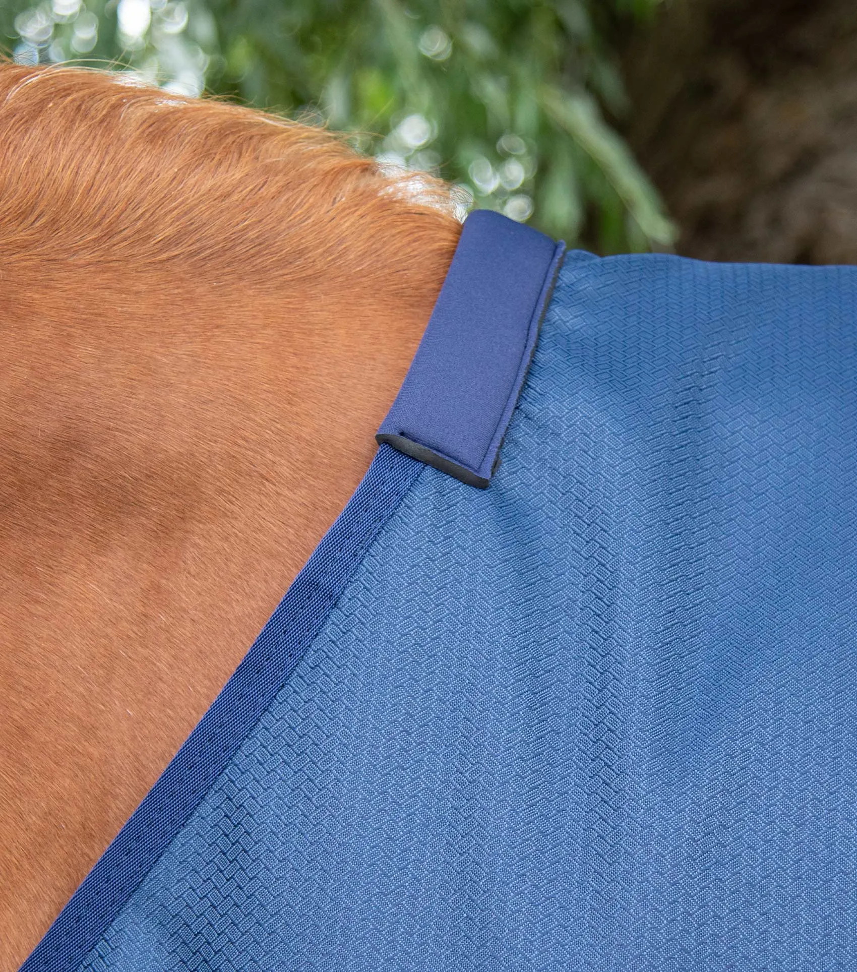 Akoni 0g Original Turnout Rug Navy