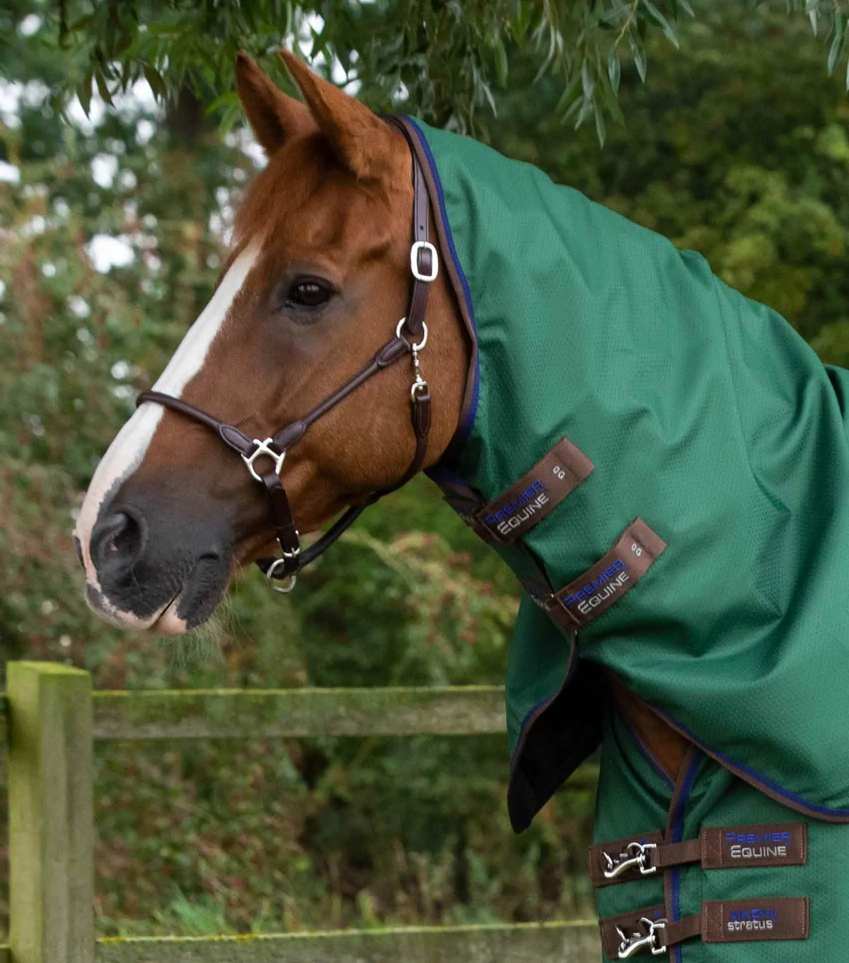 Akoni 0g Turnout Rug with Classic Neck Cover Green