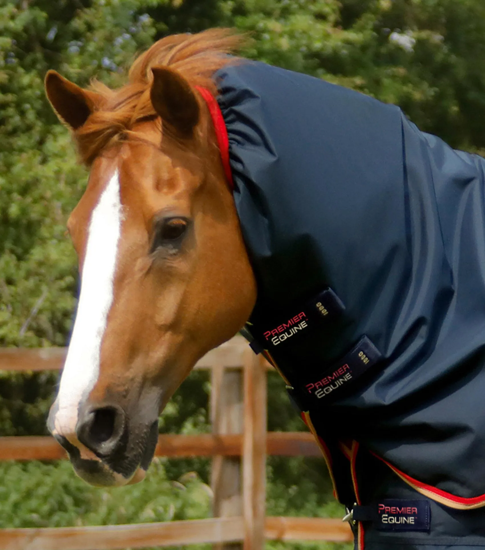 Buster 100g Turnout Rug with Snug-Fit Neck Cover Navy