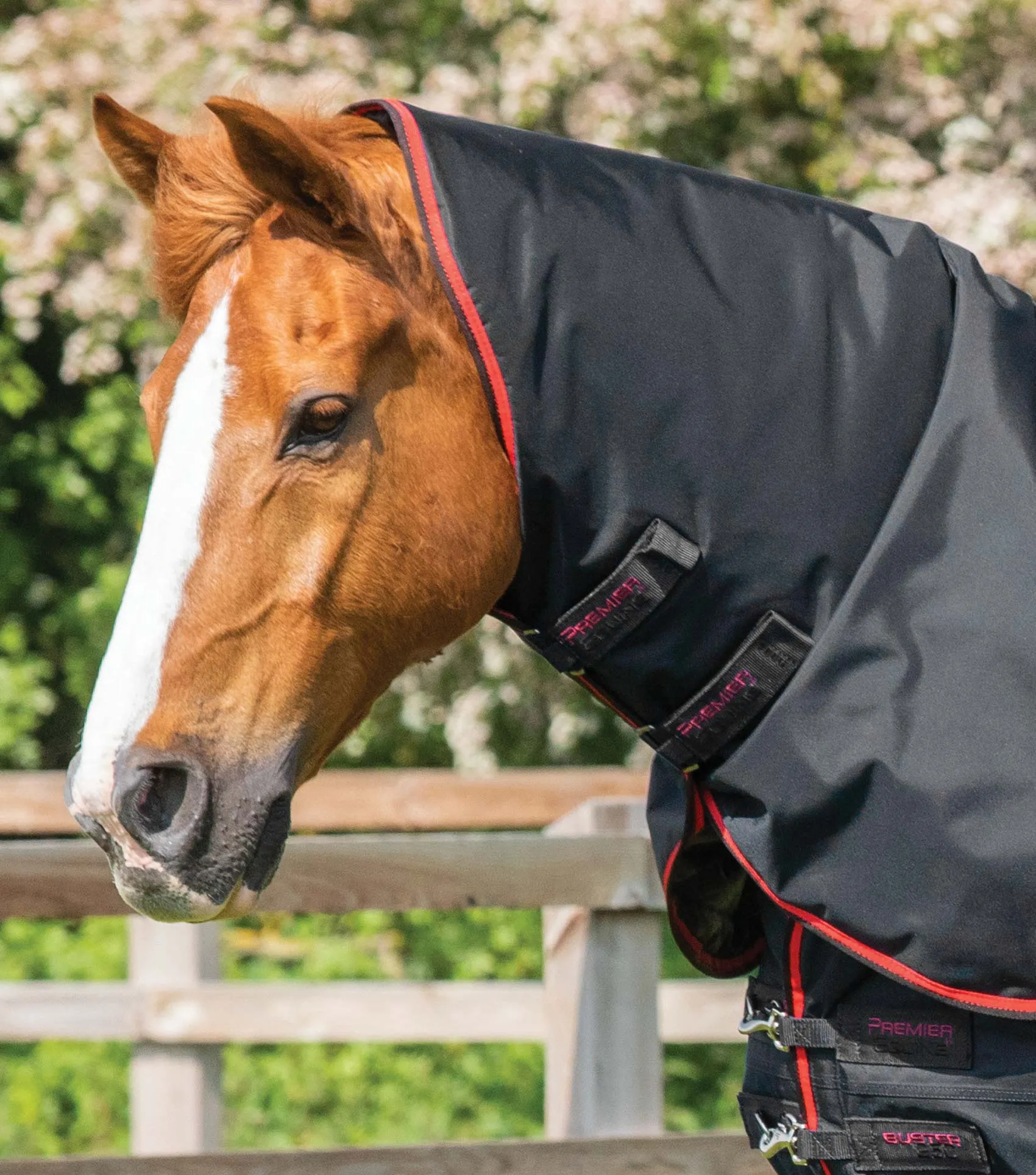 Buster 250g Turnout Rug with Classic Neck Cover Black