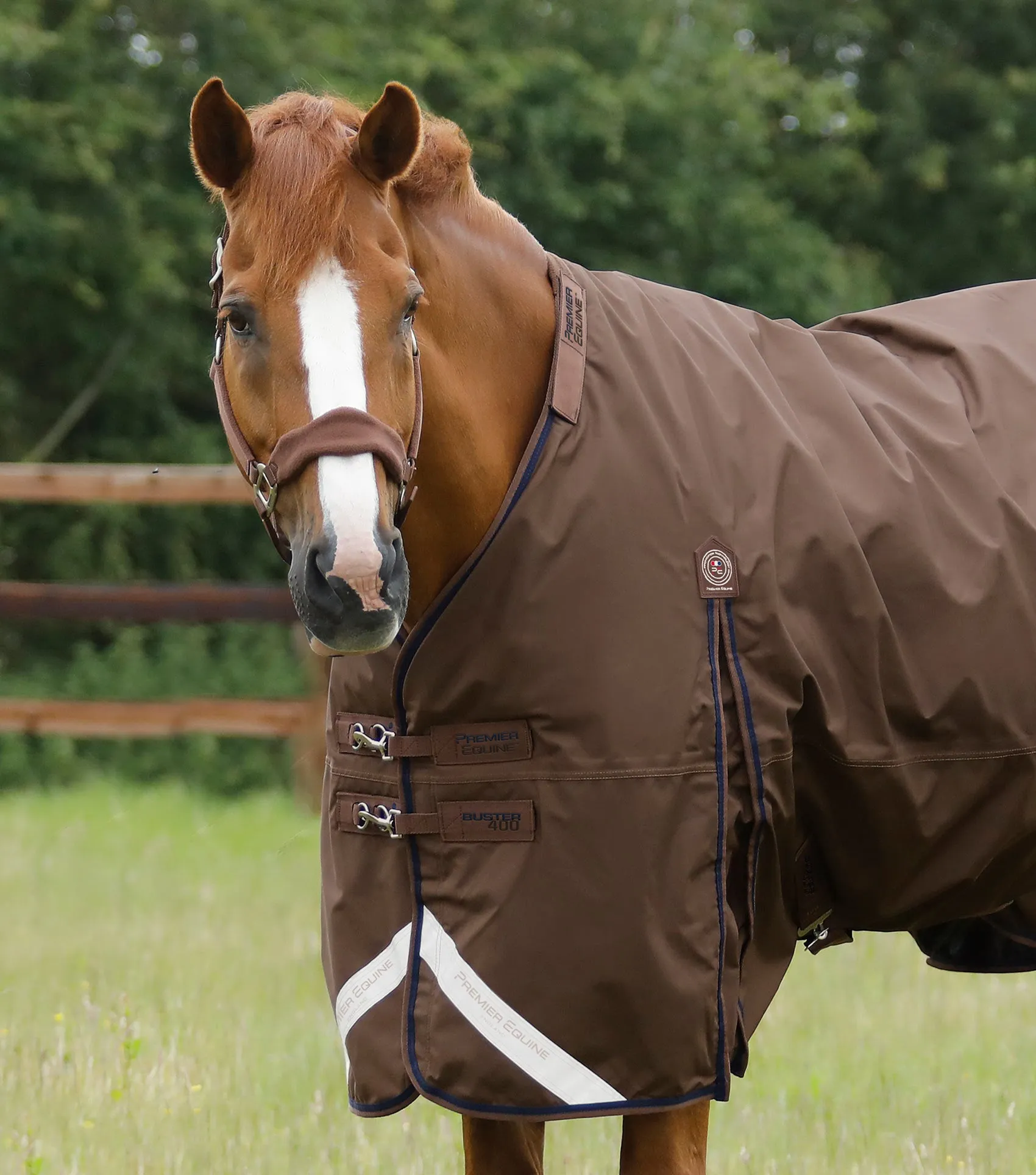 Buster 400g Turnout Rug with Snug-Fit Neck Cover Brown