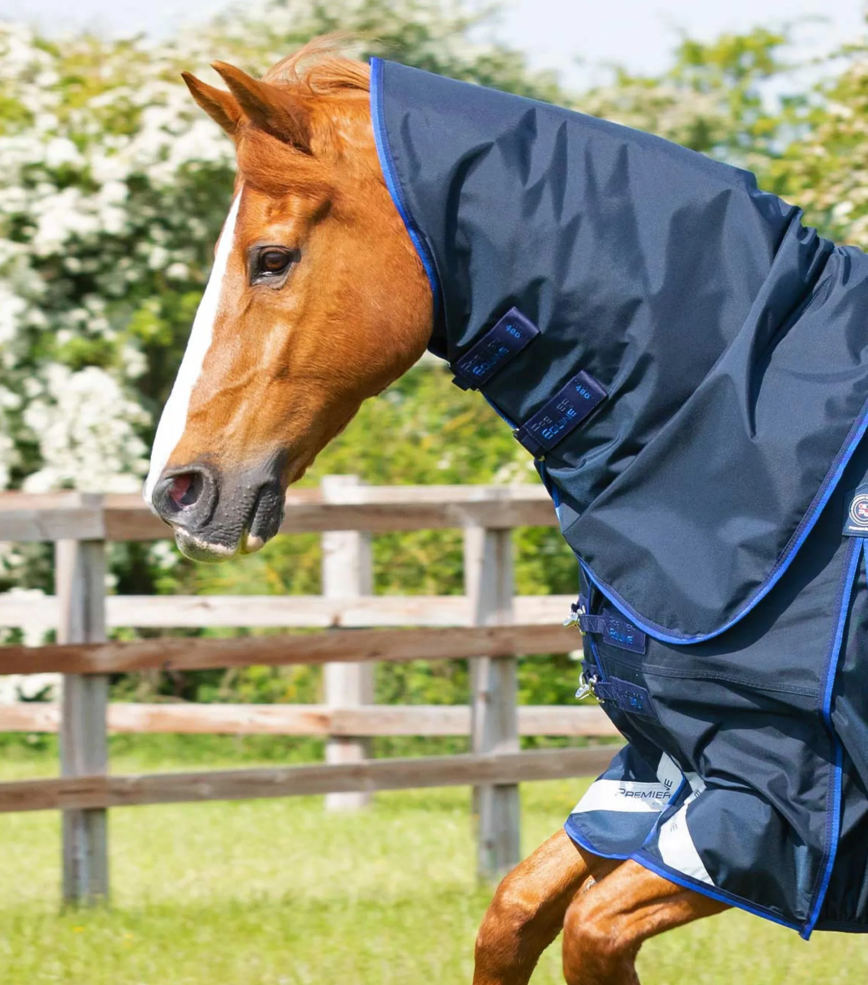 Buster 40g Turnout Rug with Classic Neck Cover Navy