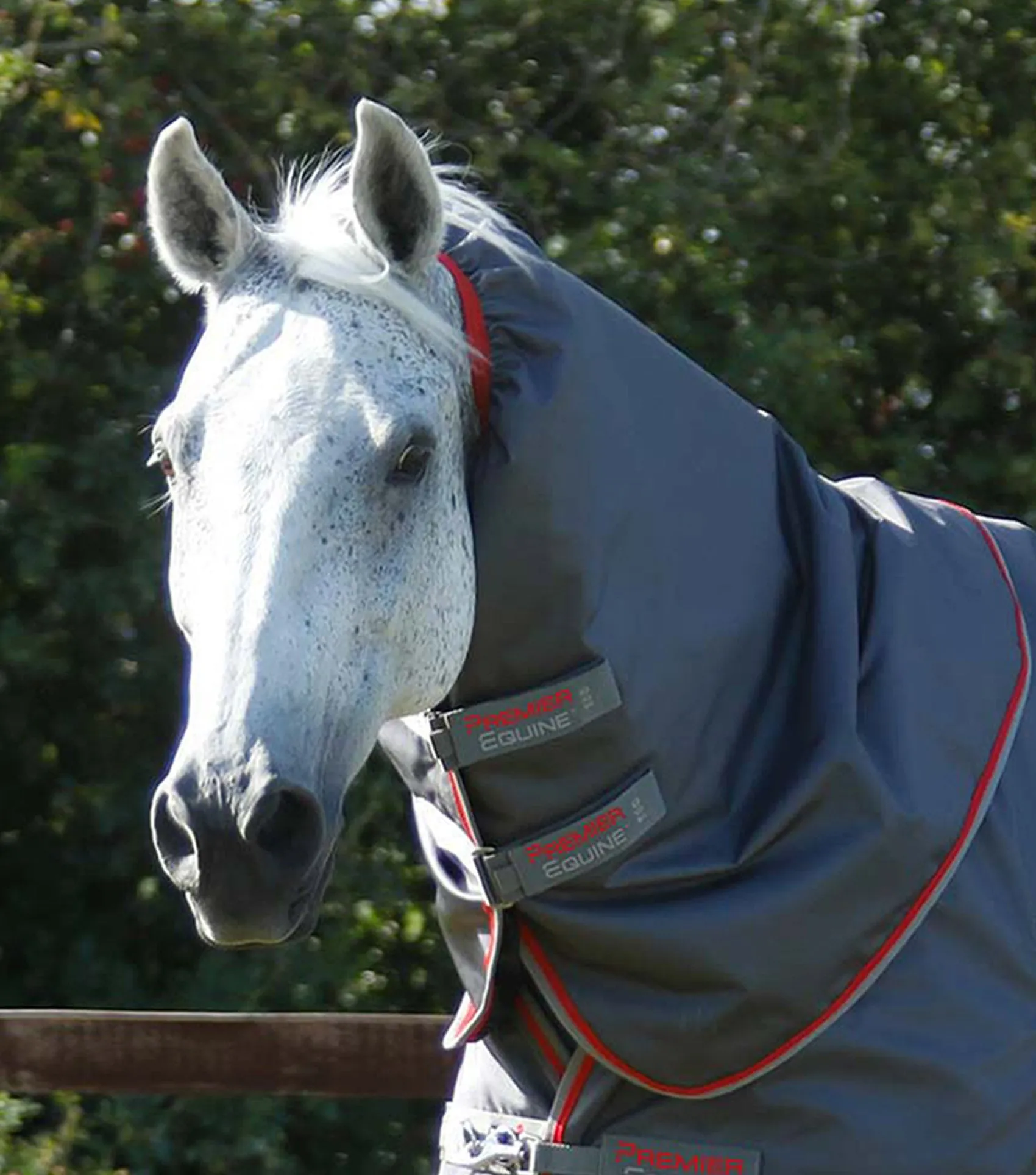 Buster 50g Turnout Rug with Snug-Fit Neck Cover Grey