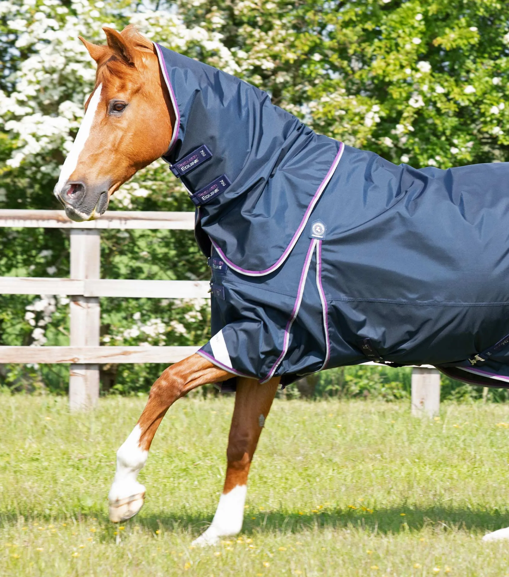 Buster 70g Turnout Rug with Classic Neck Cover Navy