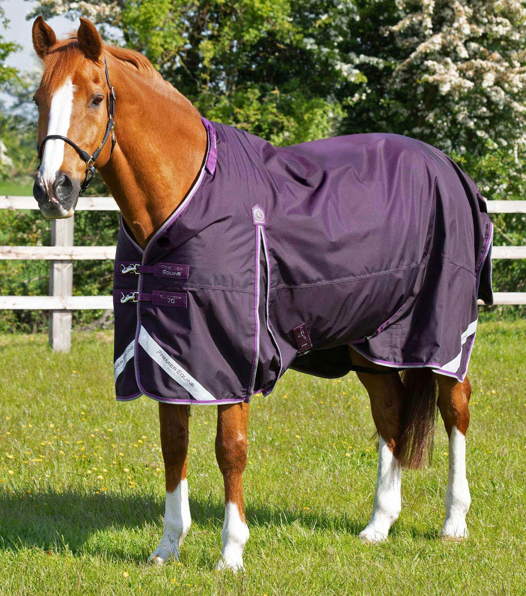 Buster 70g Turnout Rug with Classic Neck Cover Purple