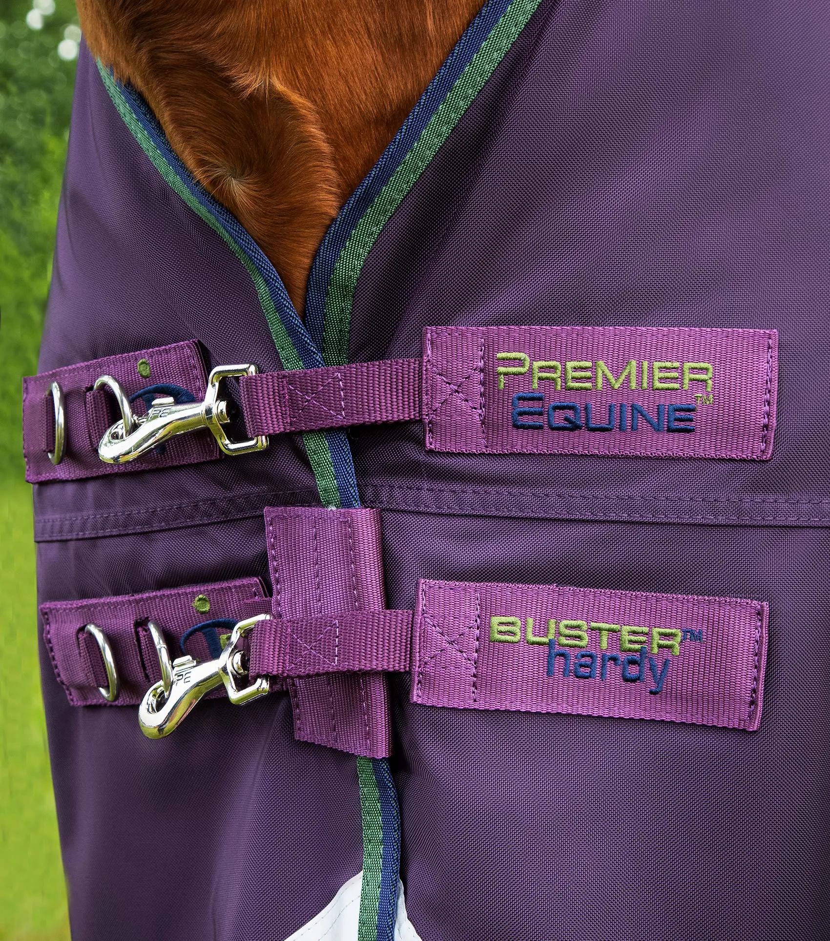 Buster Hardy 100g Half Neck Turnout Rug Purple