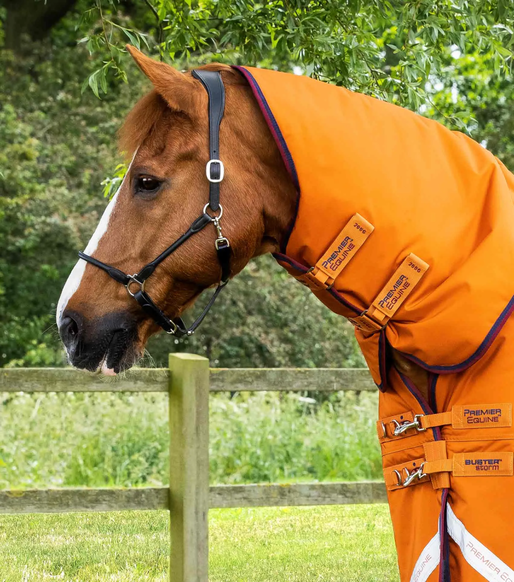 Buster Storm 200g Combo Turnout Rug with Classic Neck Burnt Orange