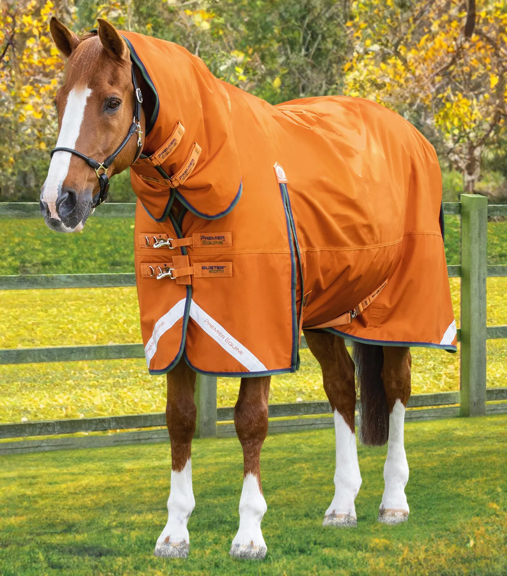 Buster Storm 400g Combo Turnout Rug with Classic Neck Burnt Orange