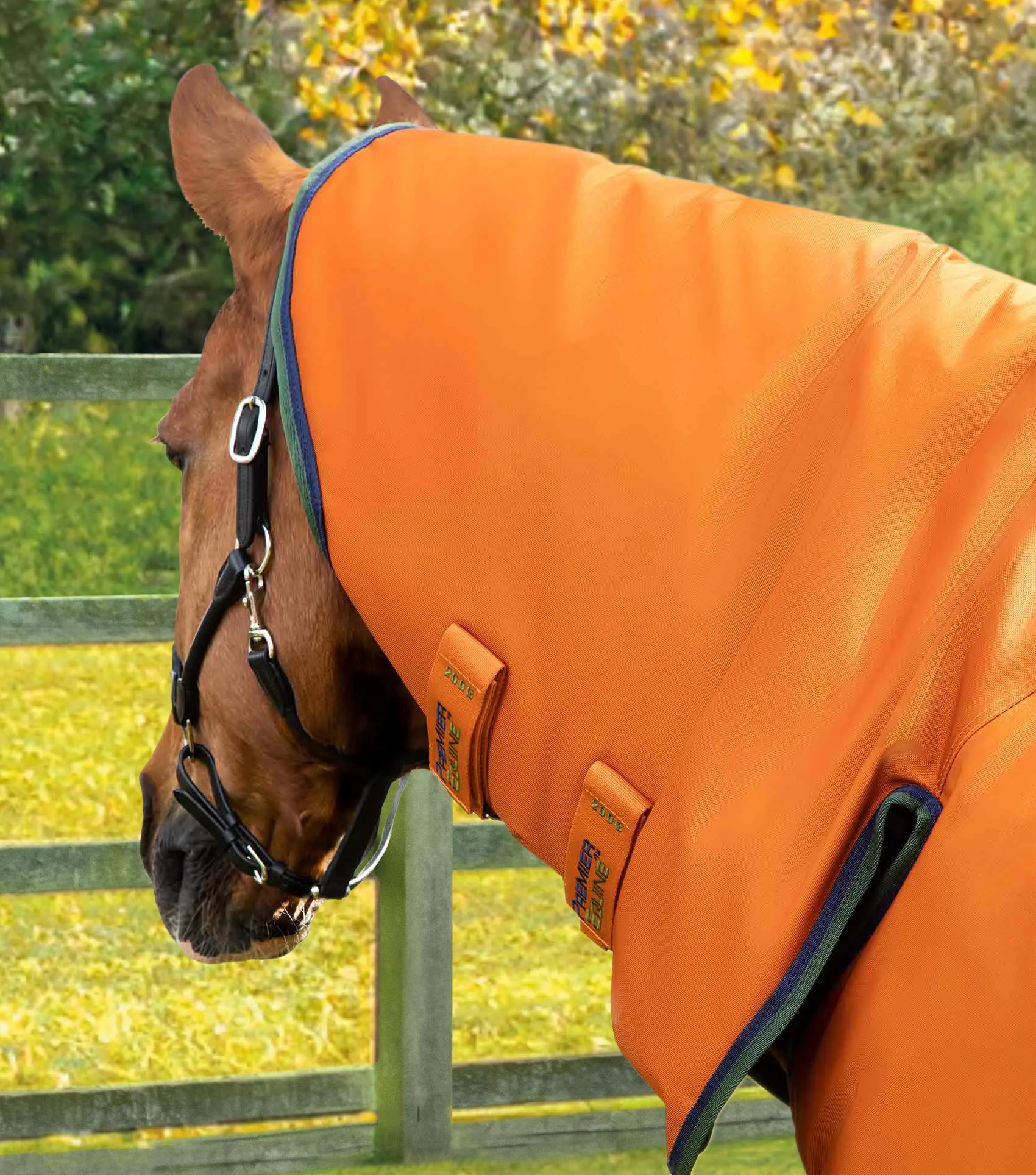 Buster Storm 400g Combo Turnout Rug with Classic Neck Burnt Orange