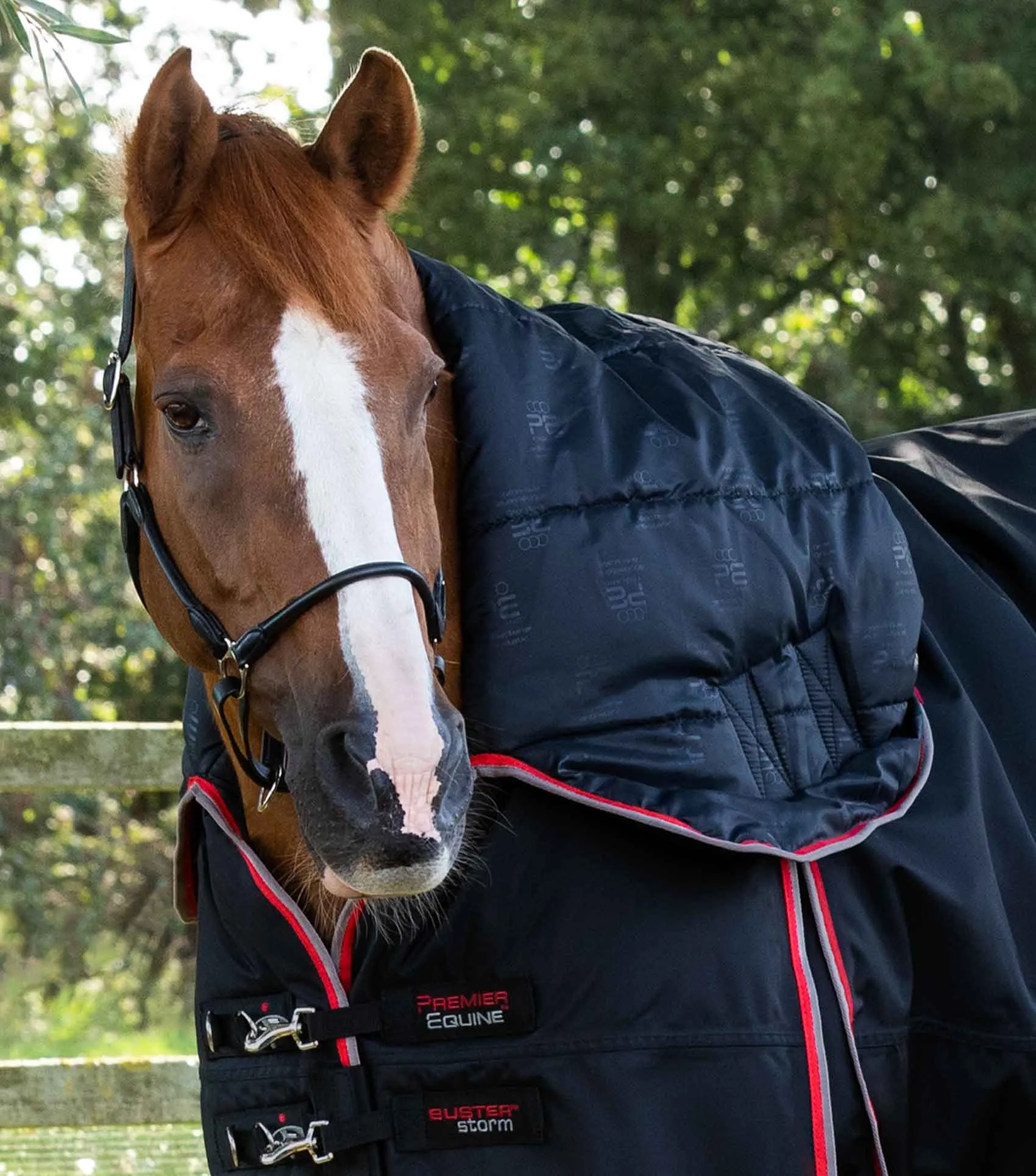 Buster Storm 400g Combo Turnout Rug with Snug-Fit Neck Black