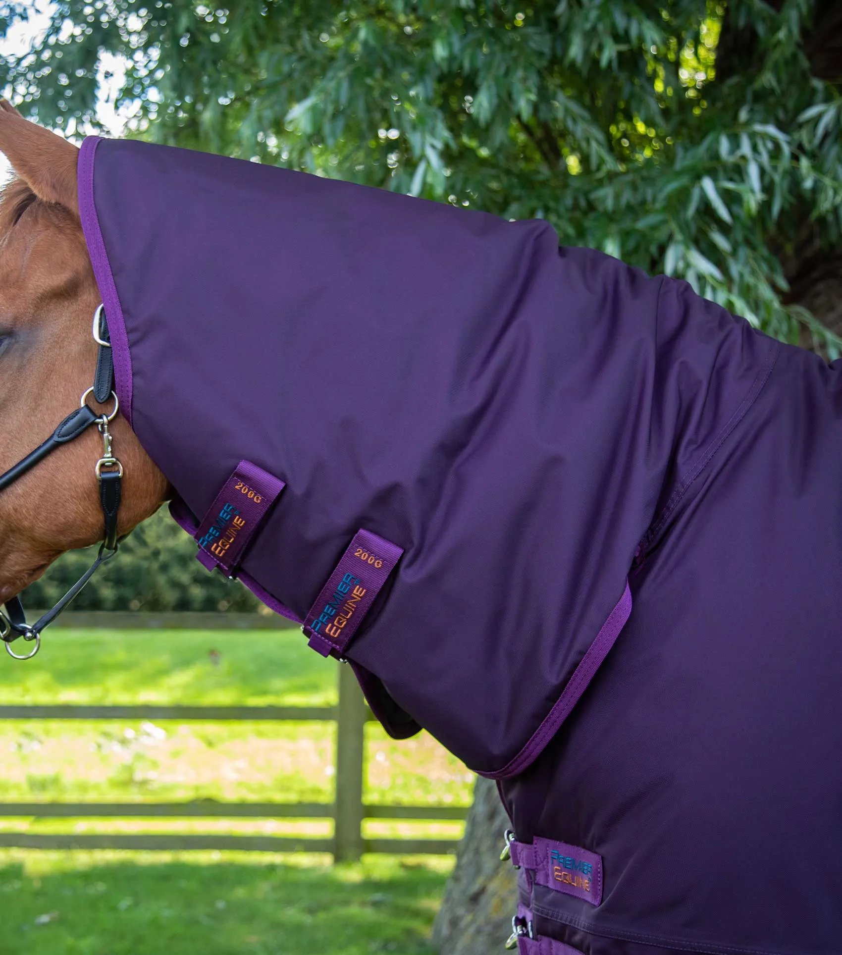 Buster Storm 420g Combo Turnout Rug with Classic Neck Purple