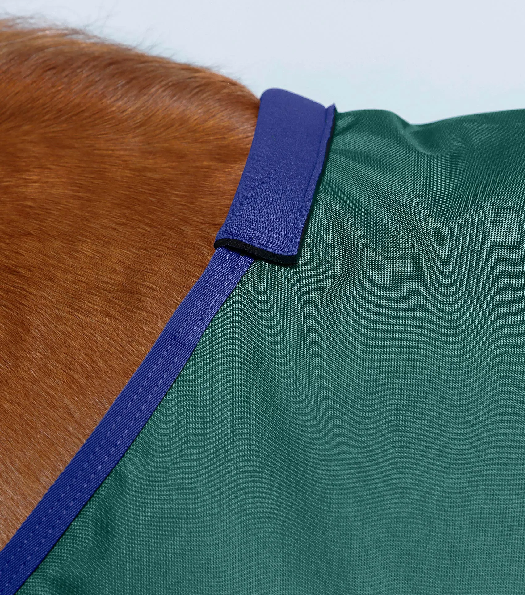 Buster Zero Original Turnout Rug Green