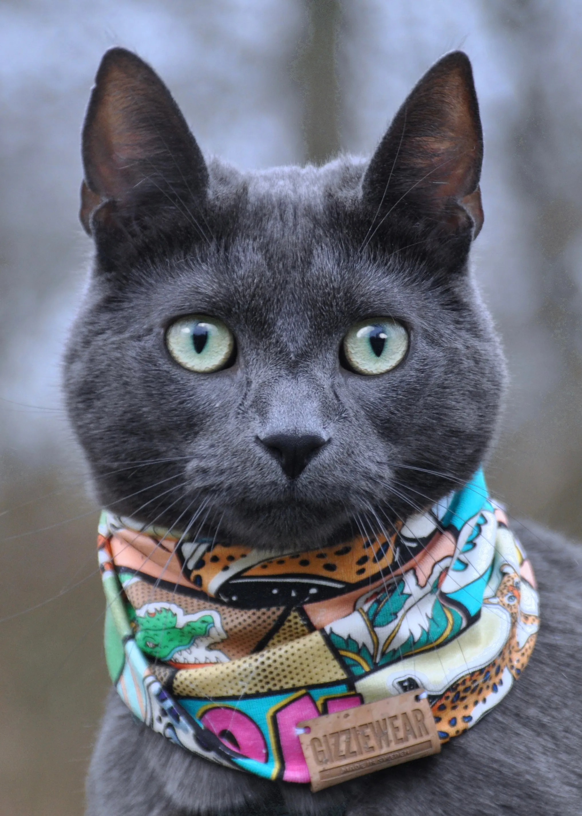 Cartoon pet scarf