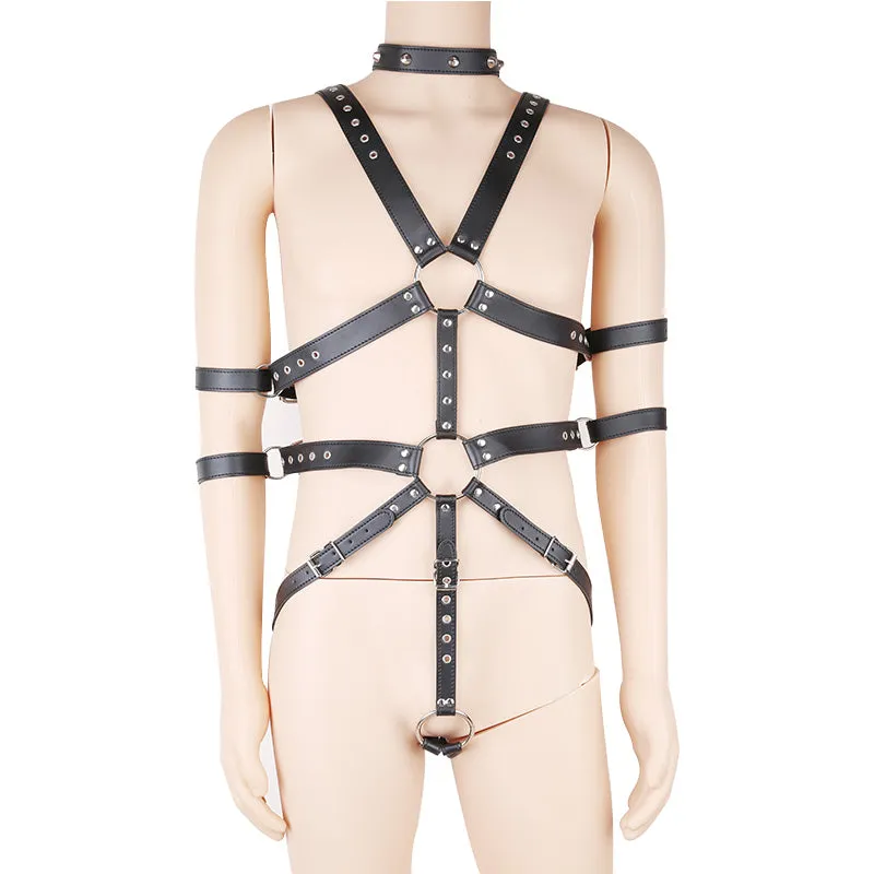 Double Arm Restraint Body Harness