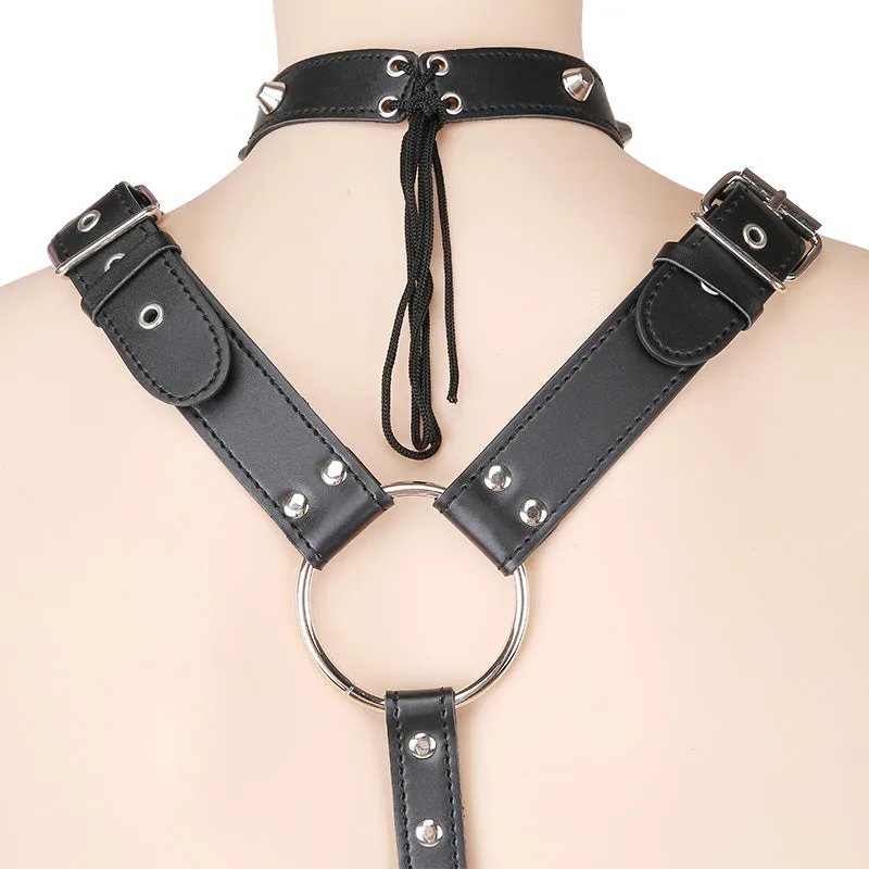 Double Arm Restraint Body Harness