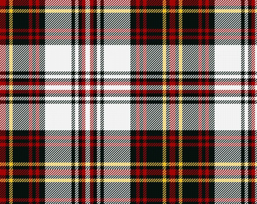 Hay Dress Modern Tartan Scarf