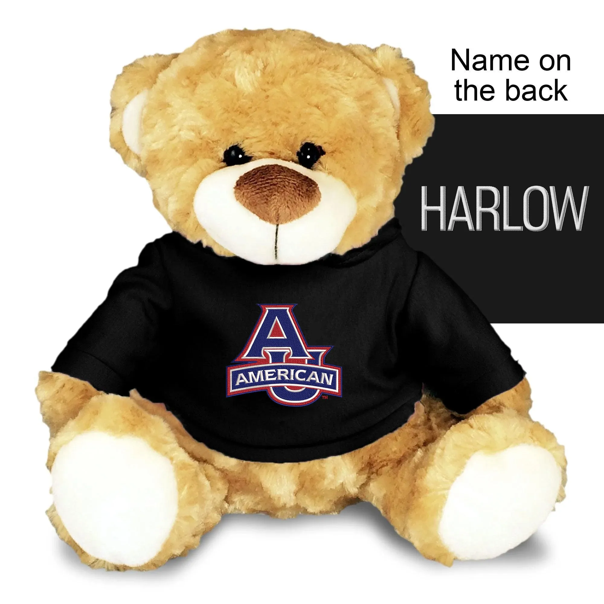 Personalized American University Eagles 10" Plush Bear