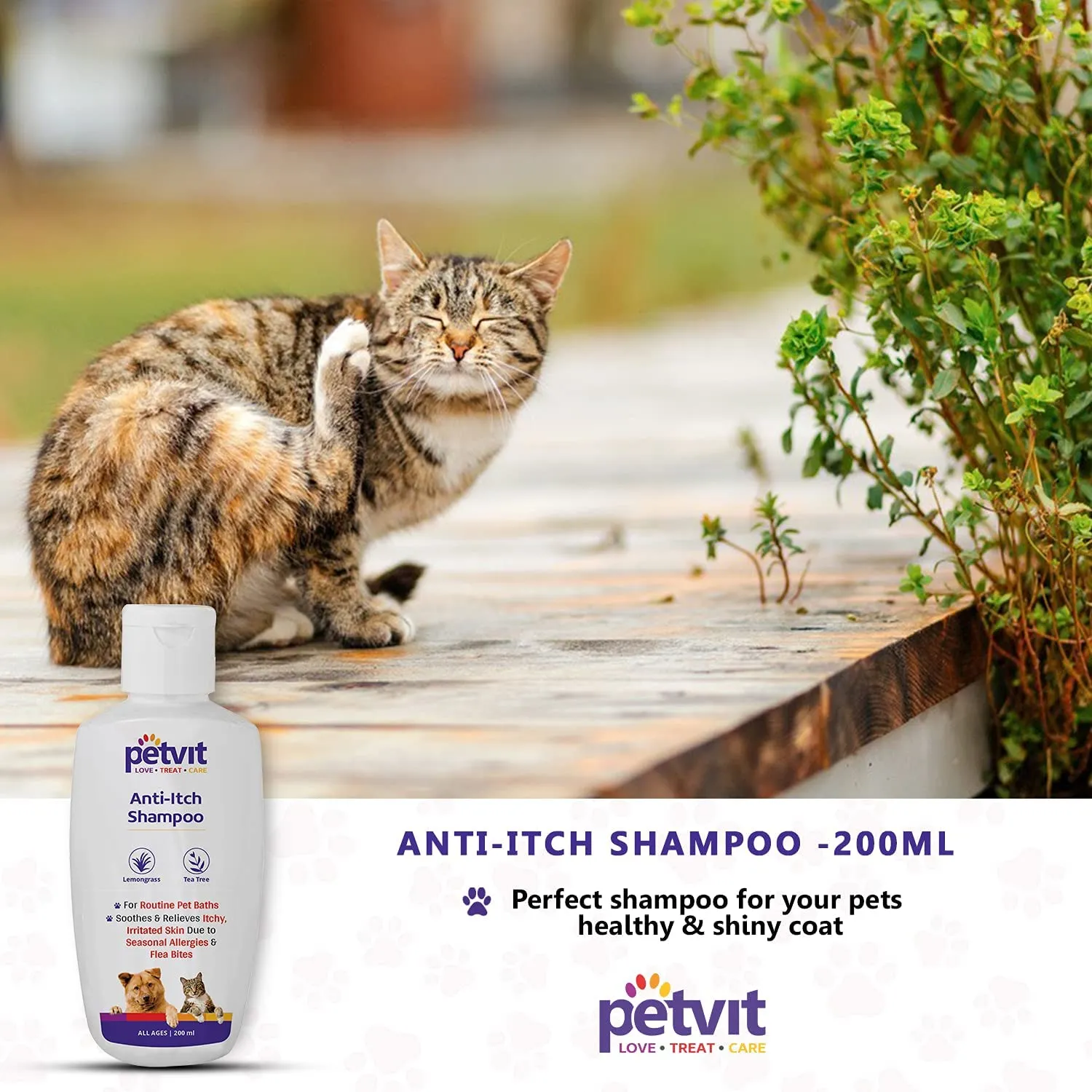 Petvit Anti Itch Shampoo with Tea Tree Oil & Lemon Grass Oil | for All Breed Dogs/Cats Helps with rashes,Ticks,Fleas - 200ml