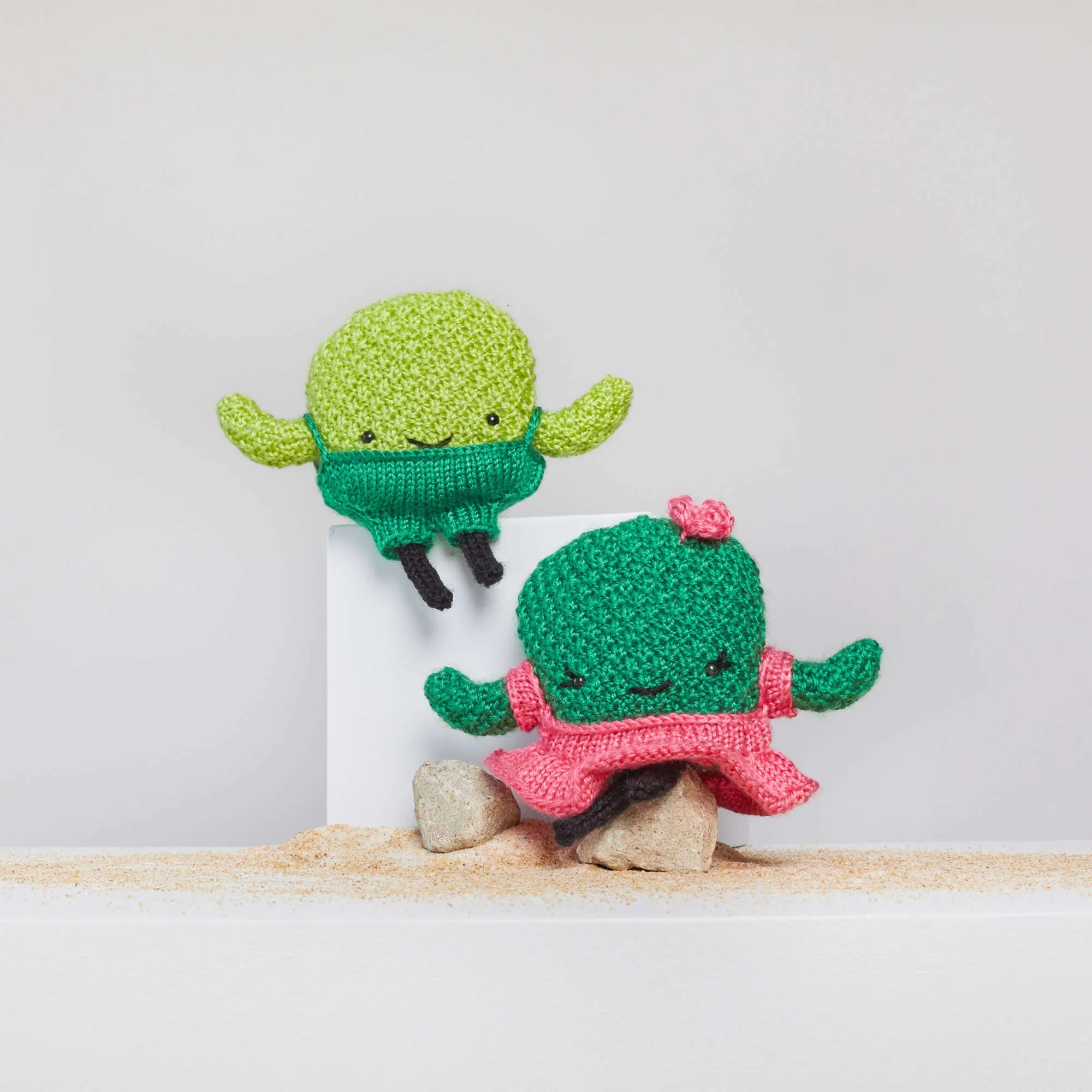 Red Heart Prickles And Pear Knit Cactus