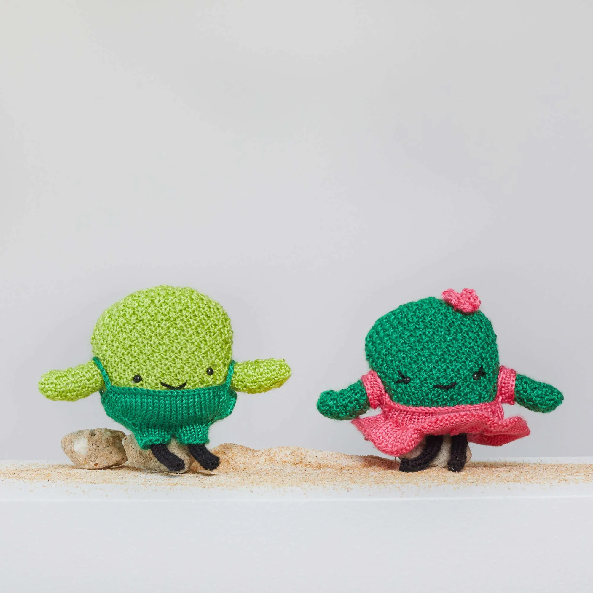 Red Heart Prickles And Pear Knit Cactus