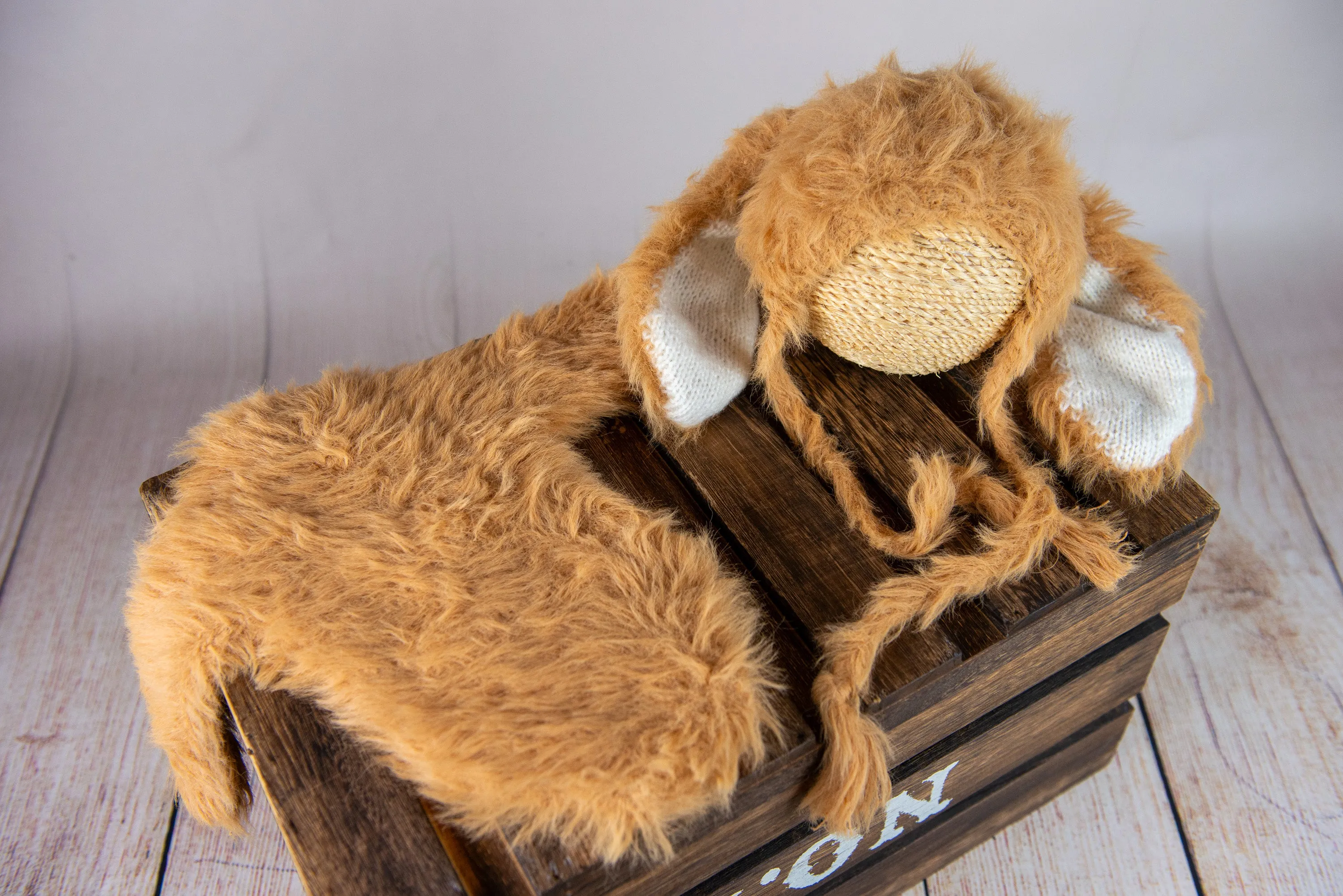 SET Romper and Rabbit Ears Bonnet - Brown