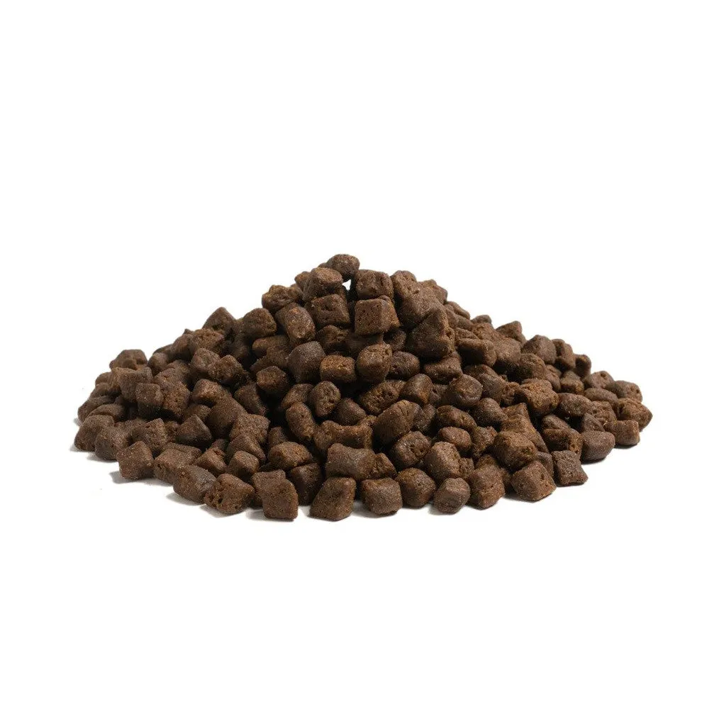 The Beginning Puppy Small Breed Dog Dry Food