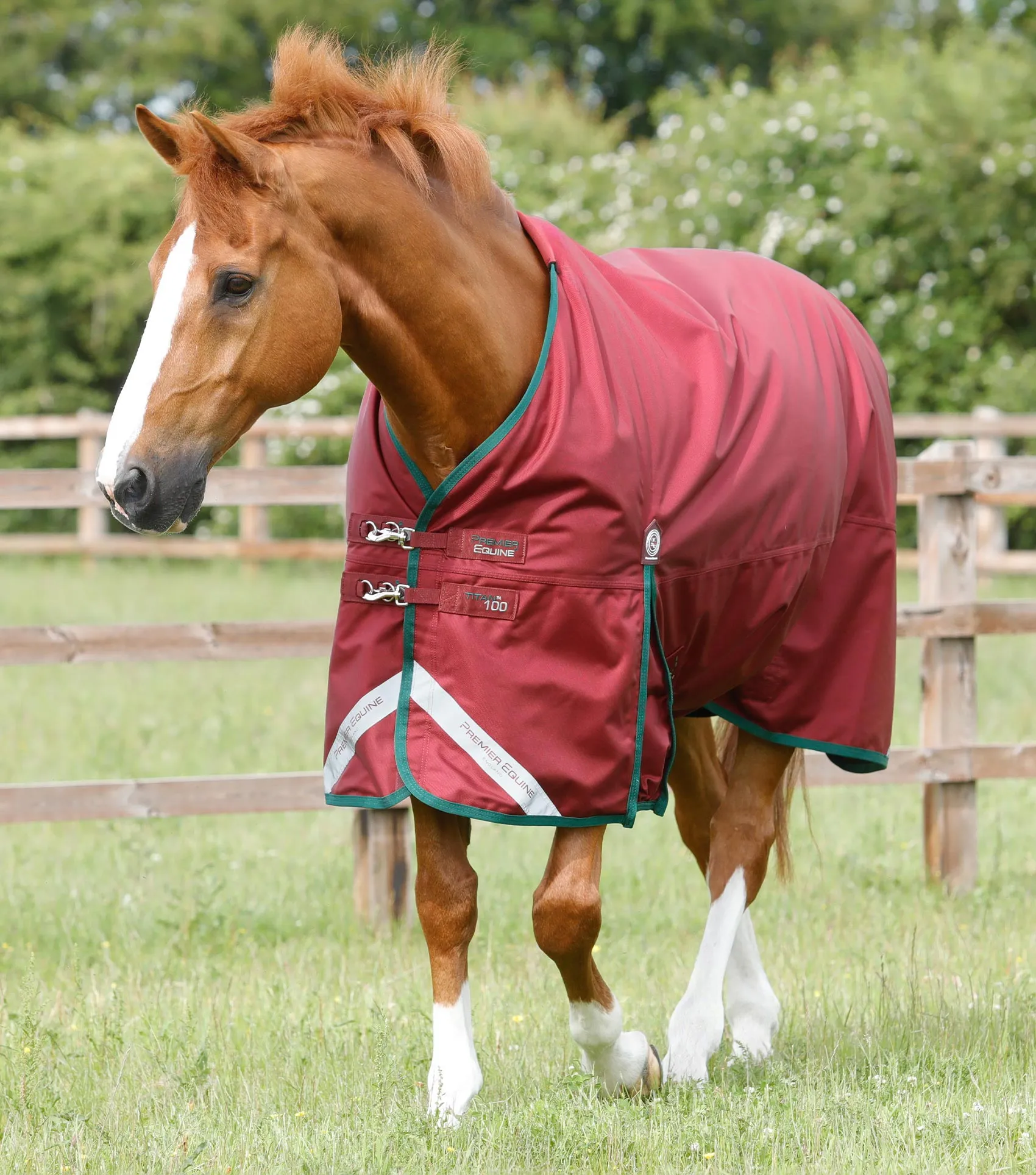 Titan 100g Original Turnout Rug Burgundy