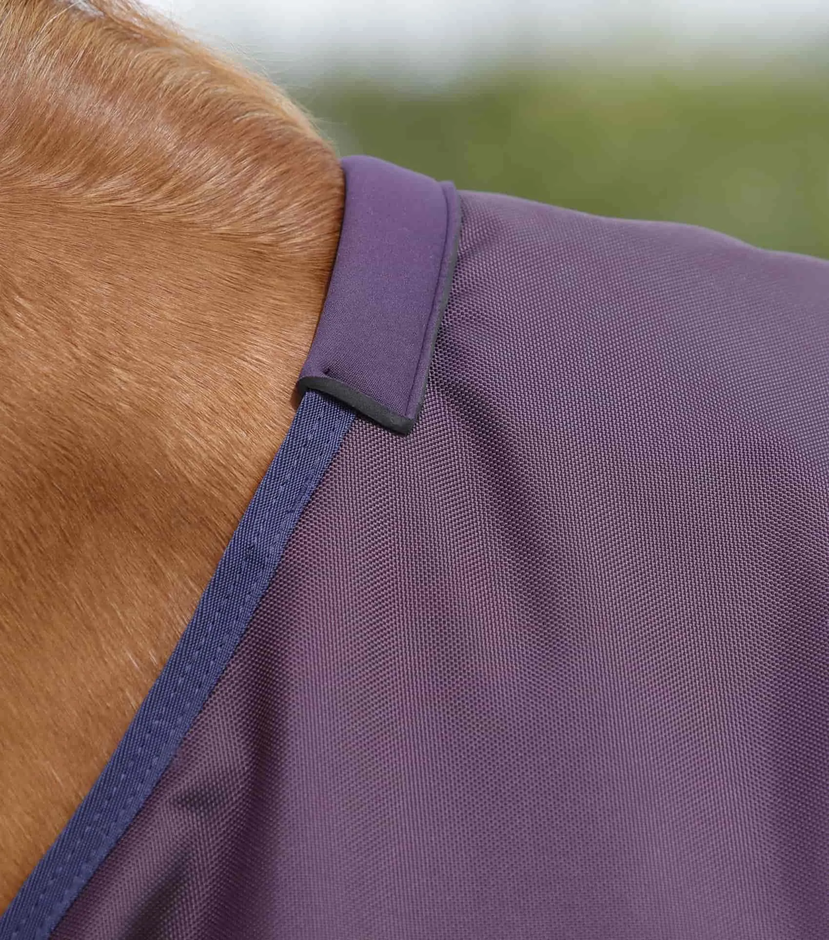 Titan 200g Original Turnout Rug Purple