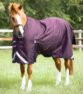 Titan 200g Original Turnout Rug Purple