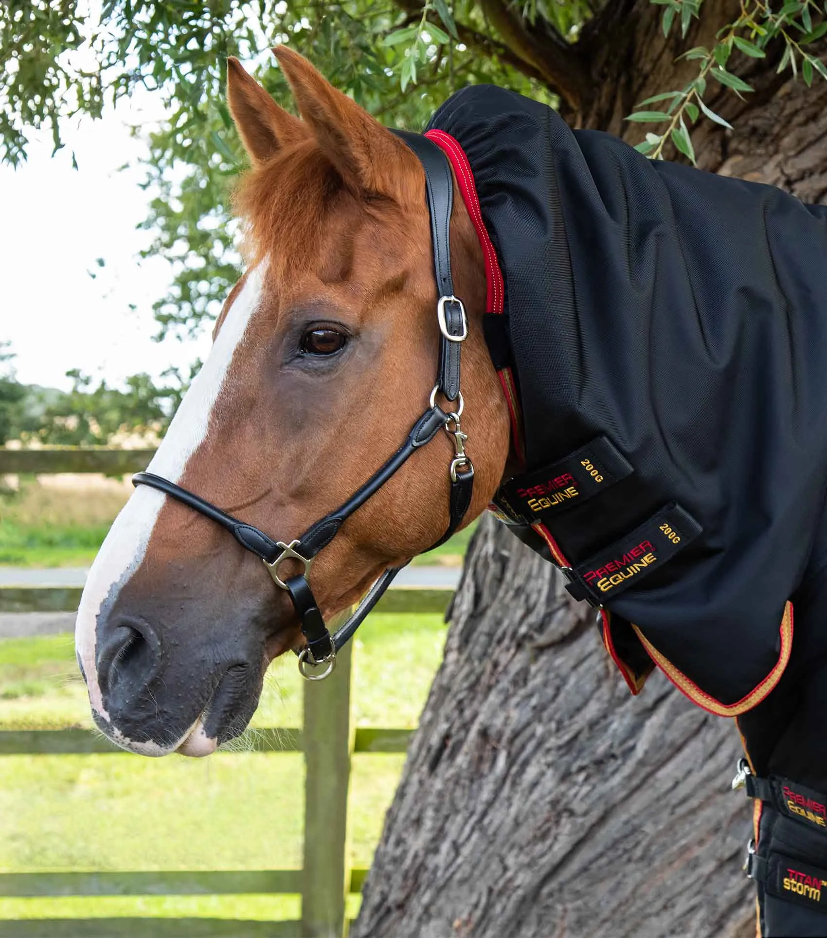 Titan Storm 450g Combo Turnout Rug with Snug-Fit Neck Black